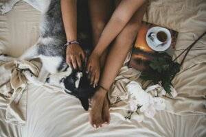 valerian root sleep benefits